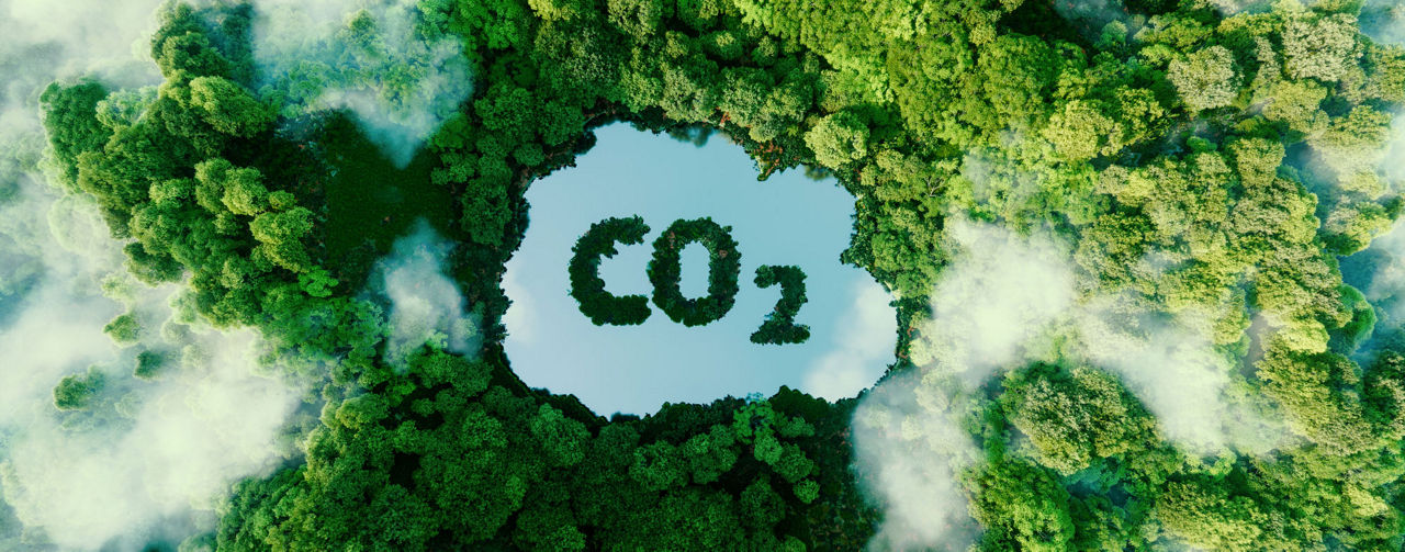 Economía del carbono