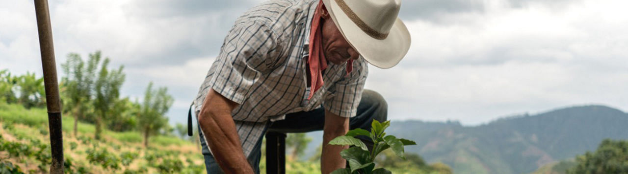 Farmer Planting Crop