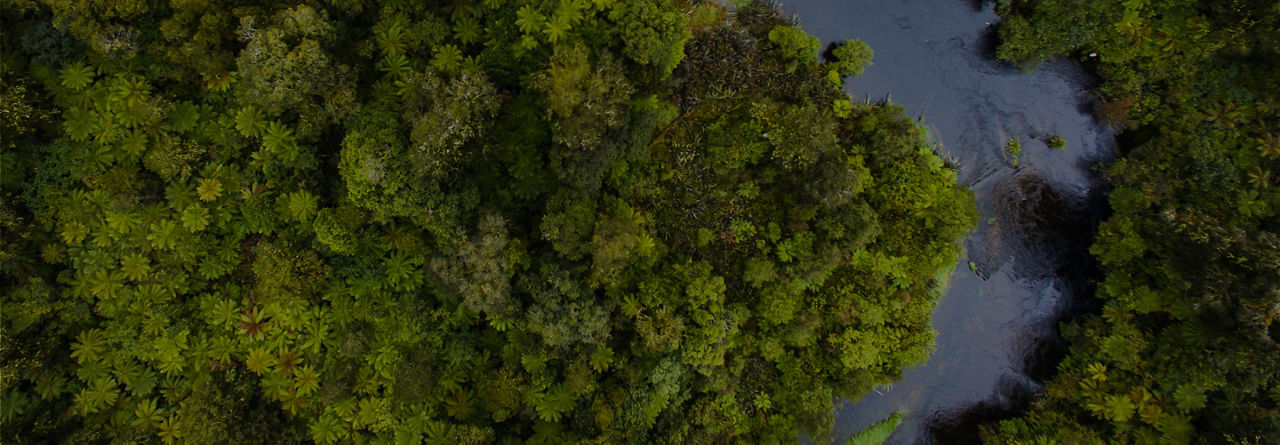 Aerial shot of river