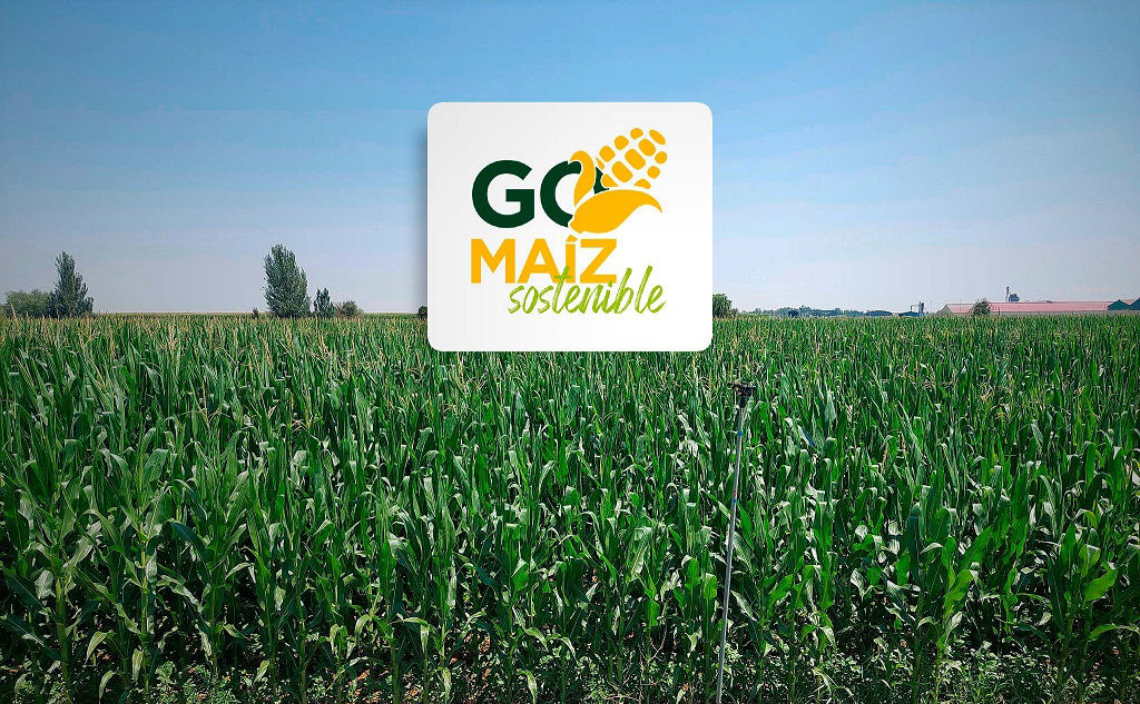 Go Maíz Sostenible