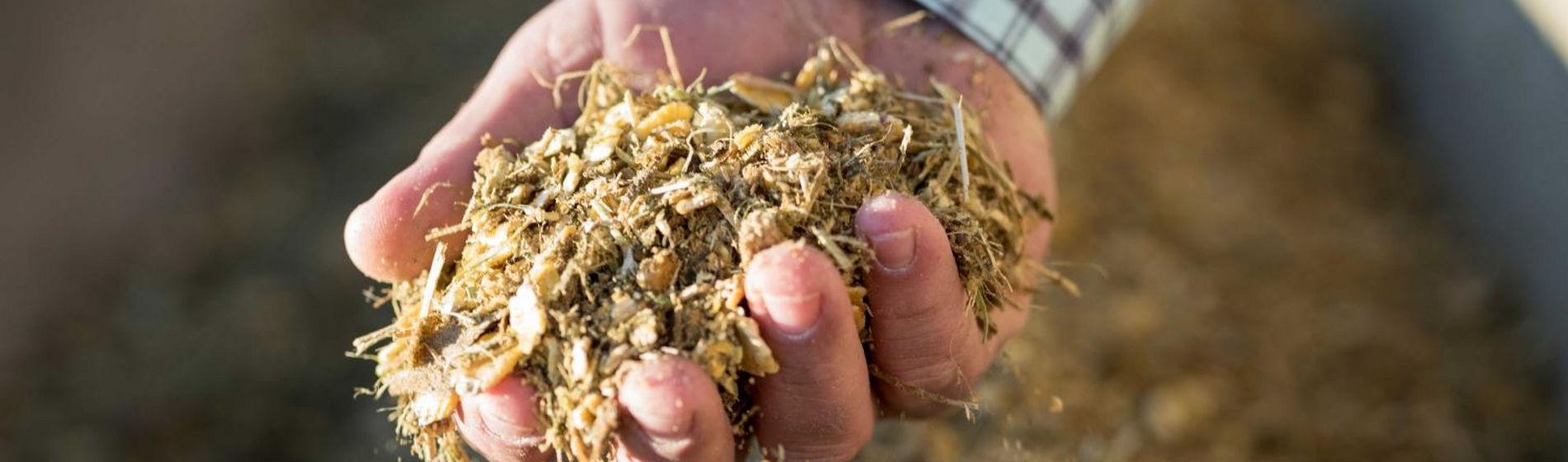 IMG-Hand-Holding-Silage-Pioneer-UK-EN-V1.jpg