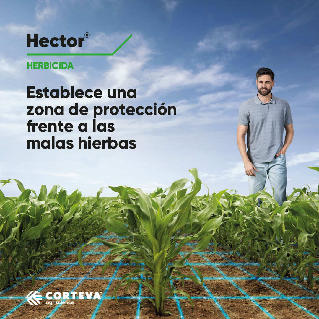 Hector Herbicida