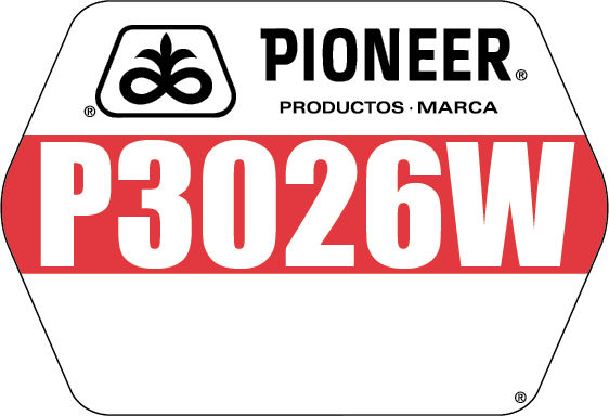 P3026W