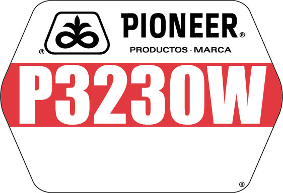 P3230W