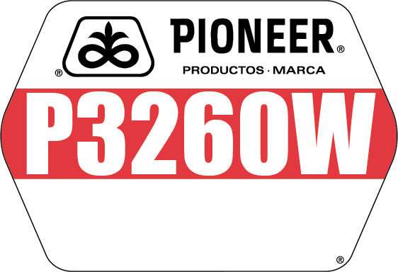 P3260W