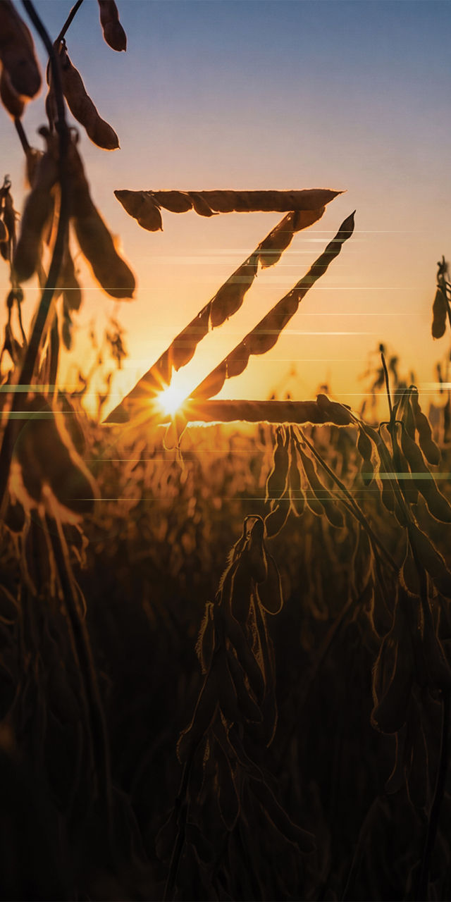 Z-Series Soybeans: A New Era in Performance