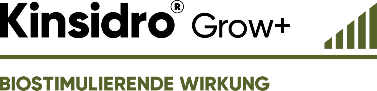 Logo Kinsidro Grow