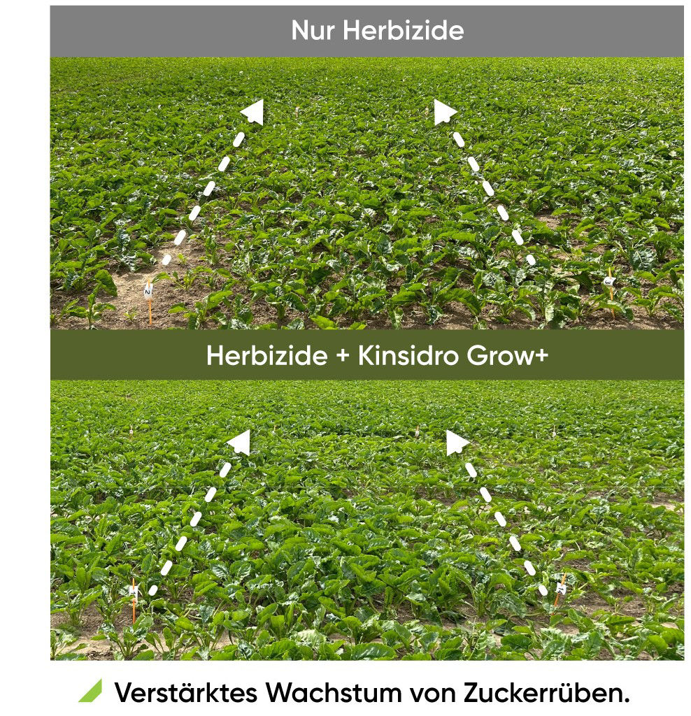 KinsidroGrow+_DE_2026_sugarbeet_1080x1920