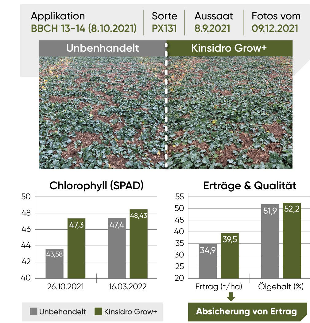 KinsidroGrow+_DE_2026_rapeseeds_1080x1920