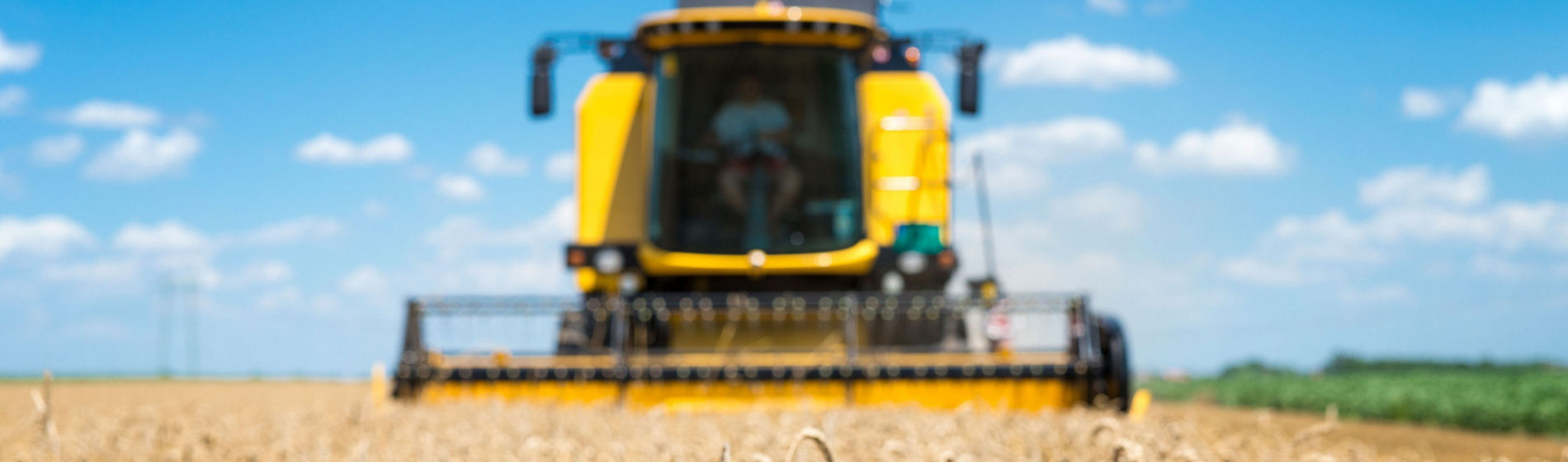 La agricultura es innovación continua para ser sostenible