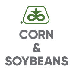 MP Sass - Products - family farm