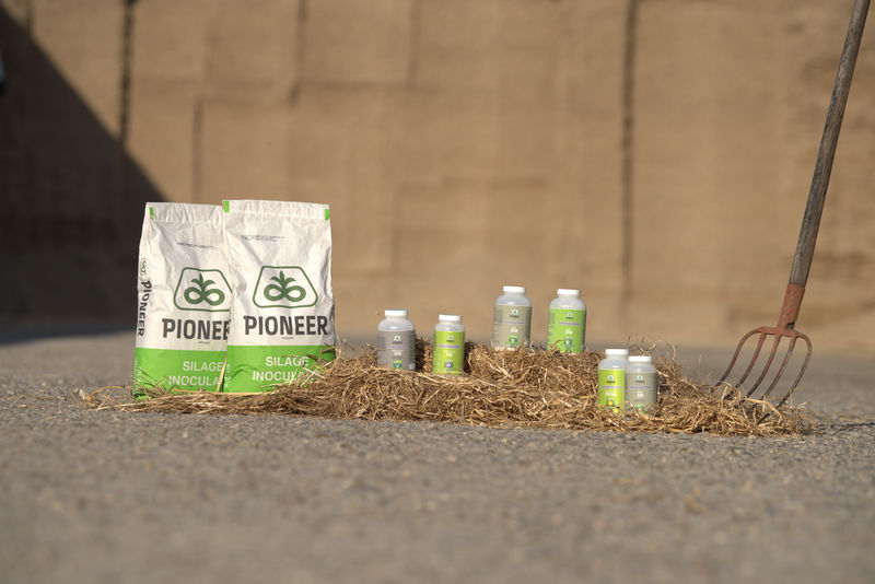 Pioneer Silage 