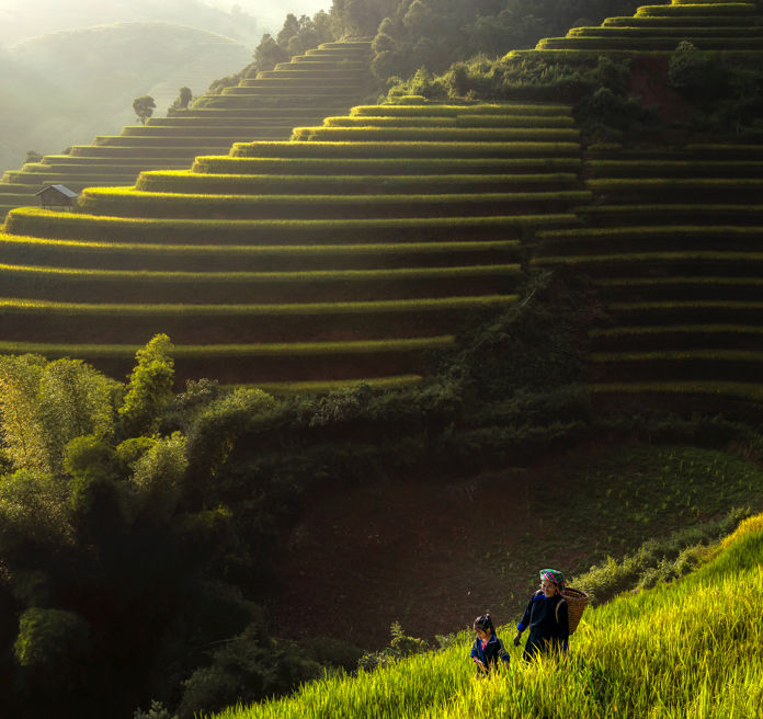 Mother Daughter on Rice Terraces