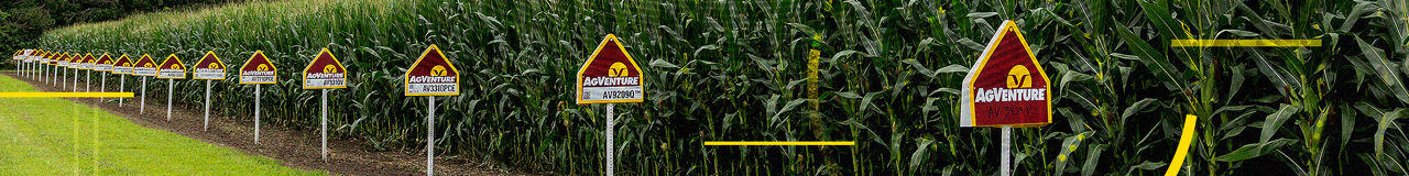 Western Seed Genetics