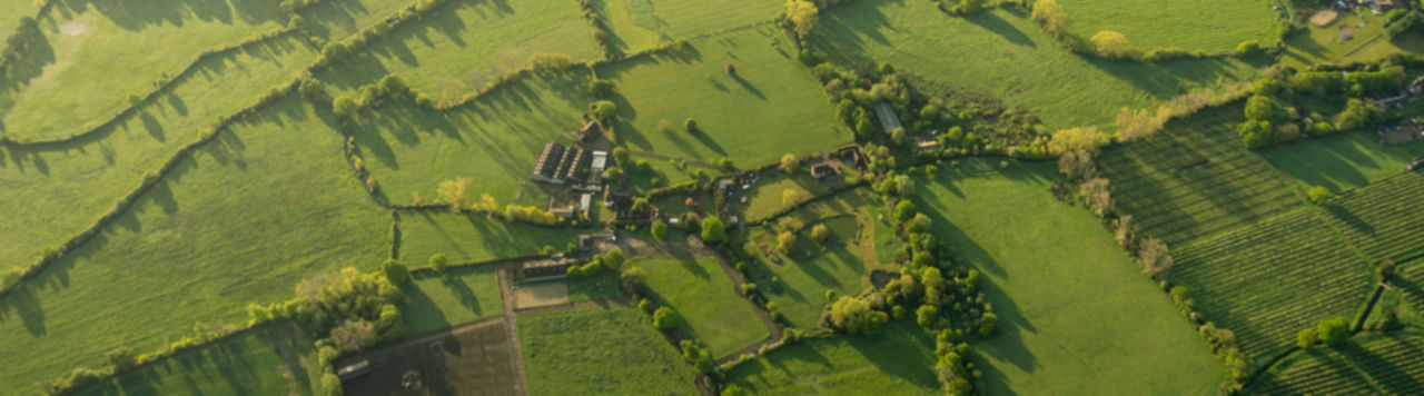 Qu'est-ce que la nouvelle loi d’orientation agricole va changer ?