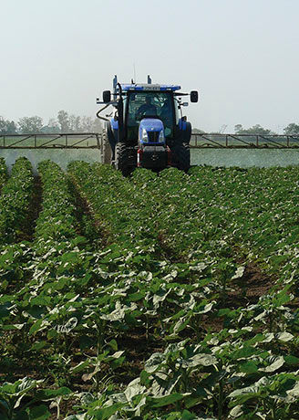 Tractor regando campo sembrado