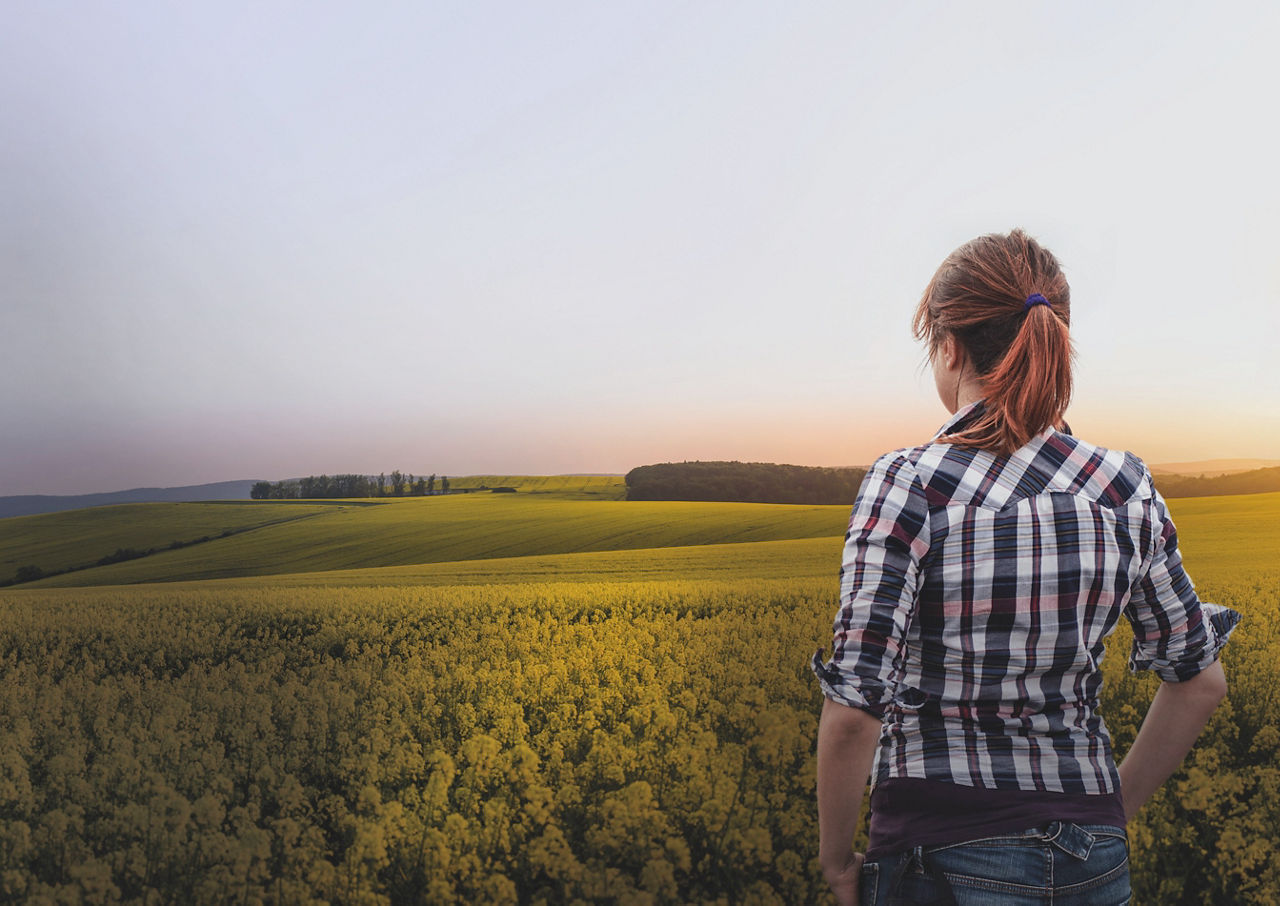 Oilseed Rape woman