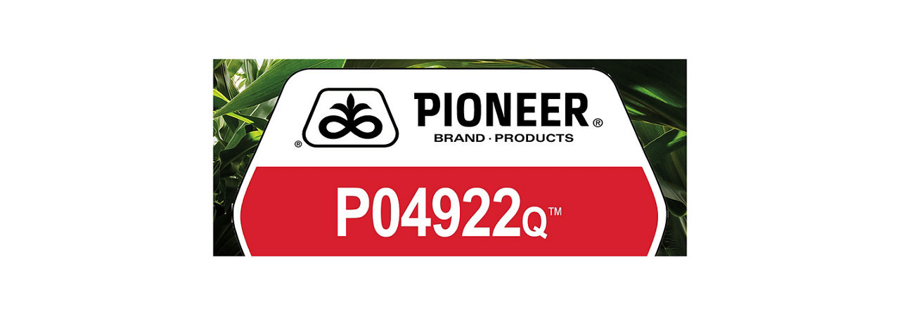 P04922Q