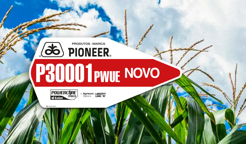 P30001PWUE