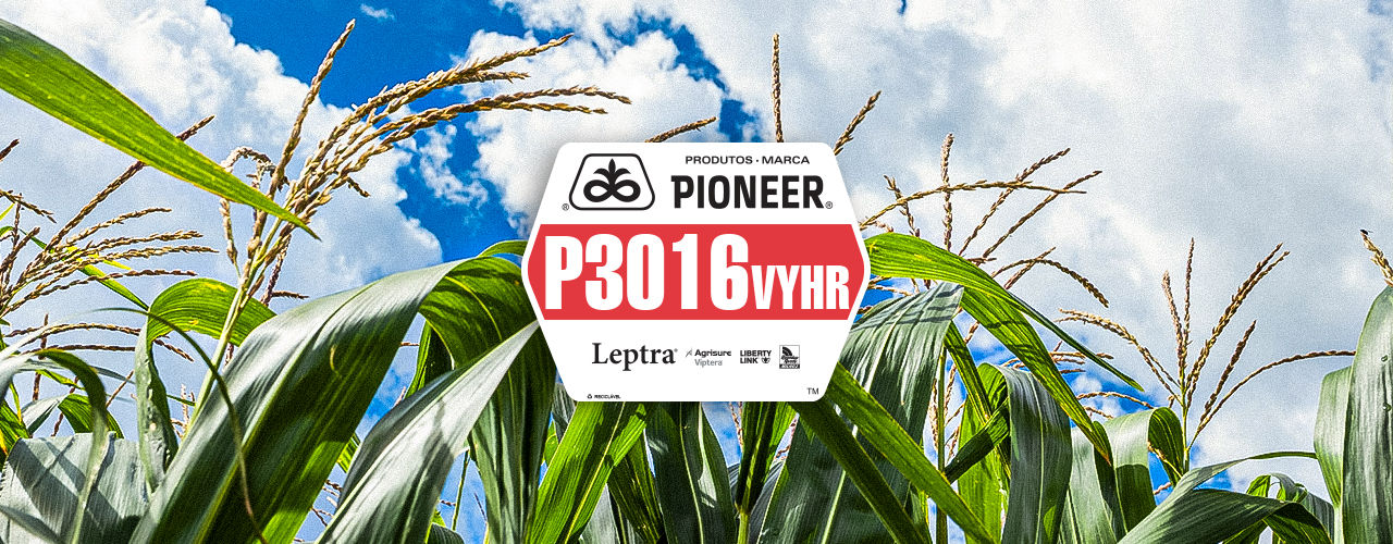 P3016VYHR