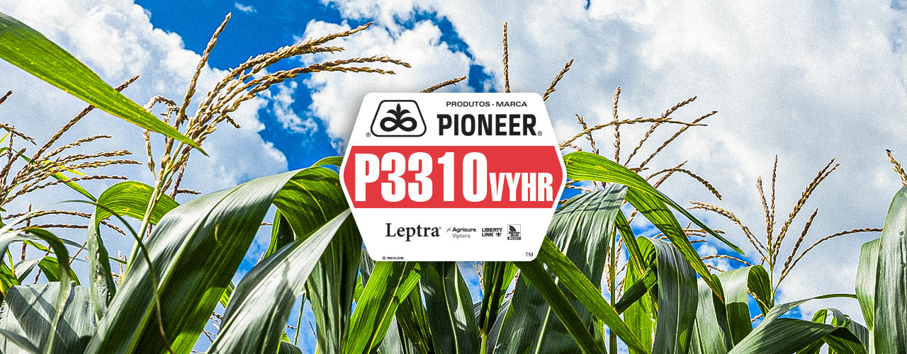 P3310VYHR