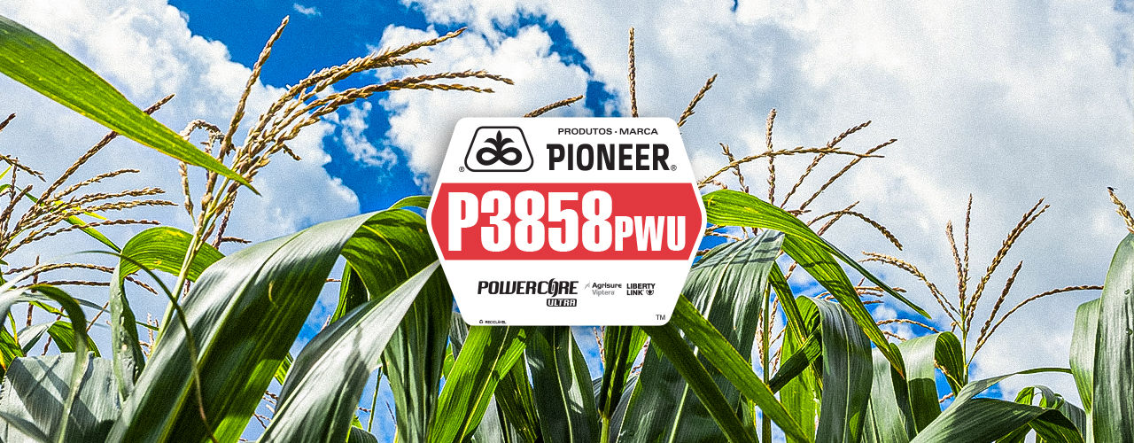 P3858PWU