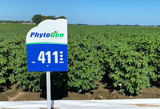 PHY411 field sign