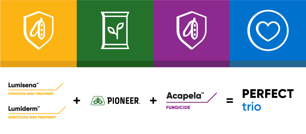 lumisena, lumiderm, pioneer and acapela