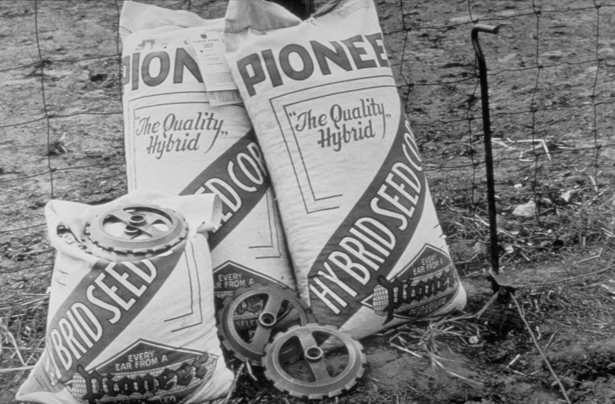 Pioneer 100 años archivo 6