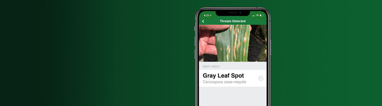 Seeds App - Hero