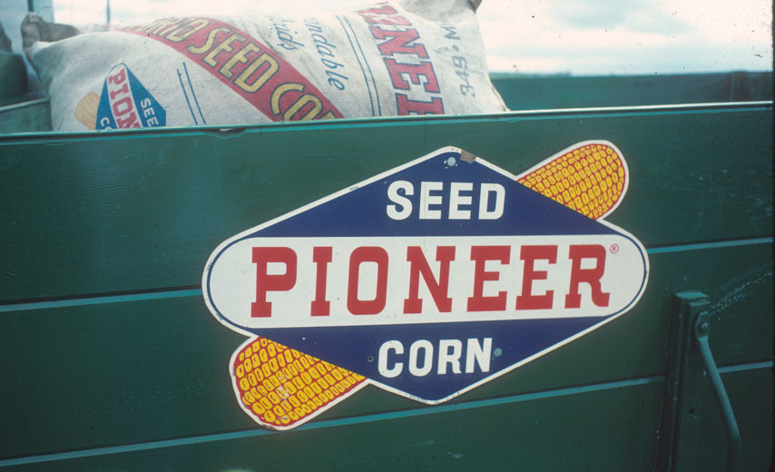 ฉลากกราฟิกข้าวโพดเมล็ด Pioner