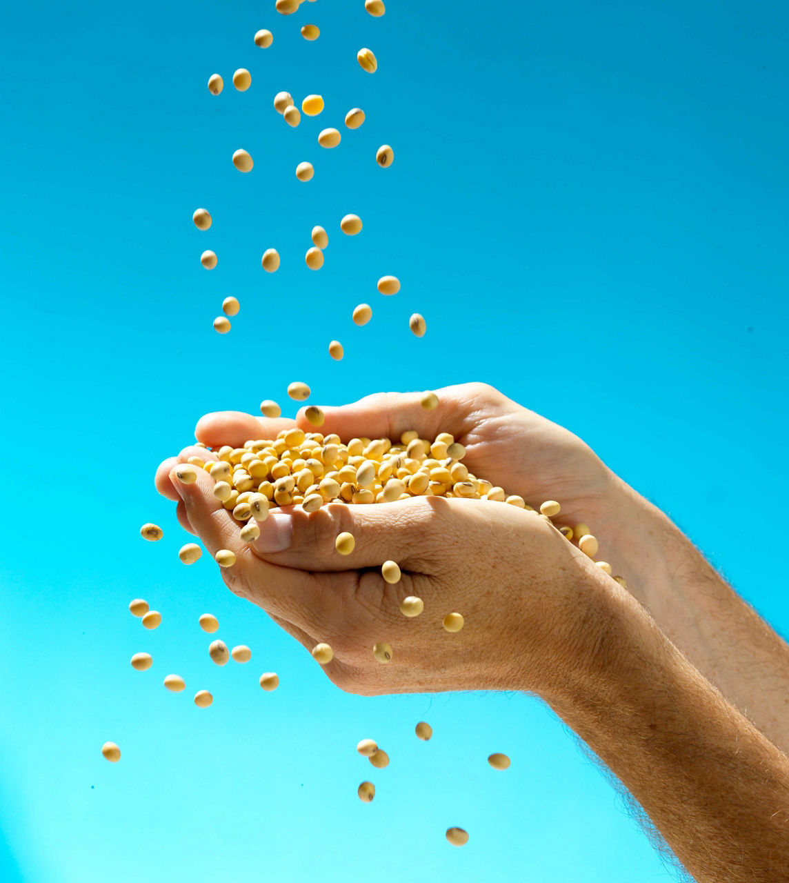 Next-level Agronomics and Yield Potential