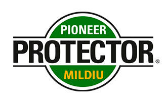 Logotipo Protector