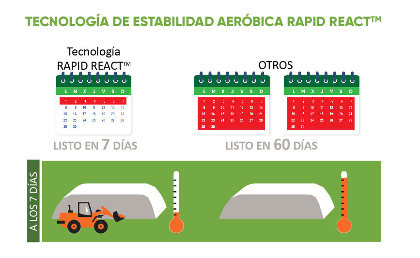 Rapid React gráfica Tecnología de Estabilidad Aeróbica