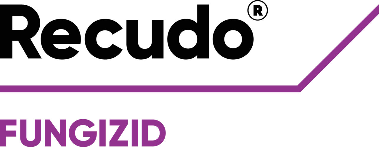 Recudo