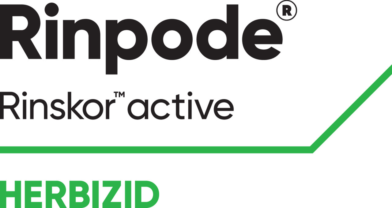 Rinpode Logo