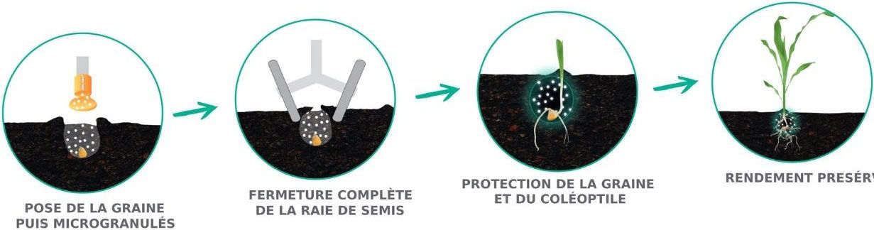 Une protection dès le semis et jusqu’à ce que la plante se défende seule