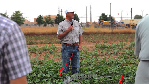 Scott Fuchs field day