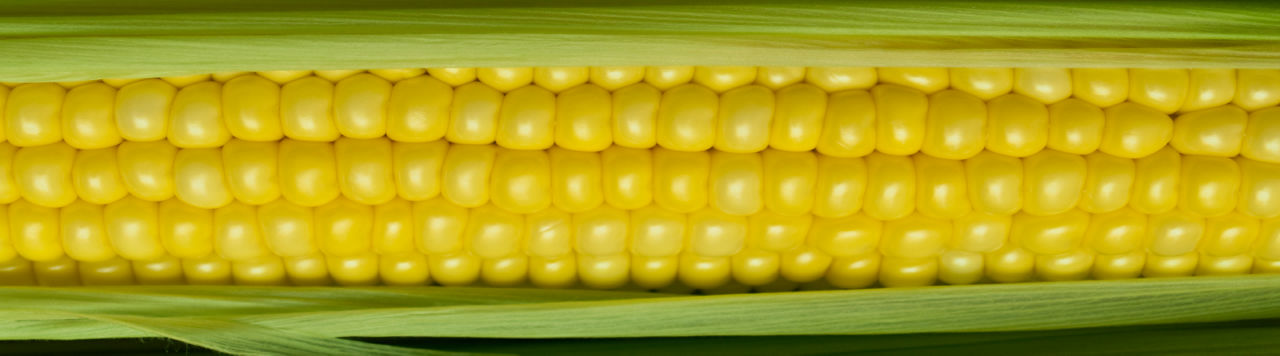 Pioneer Proizvodi