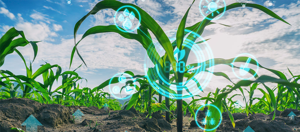 Cómo maximizar la productividad de los pequeños agricultores