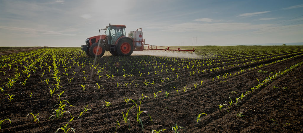 Aumento de la fertilidad del suelo 