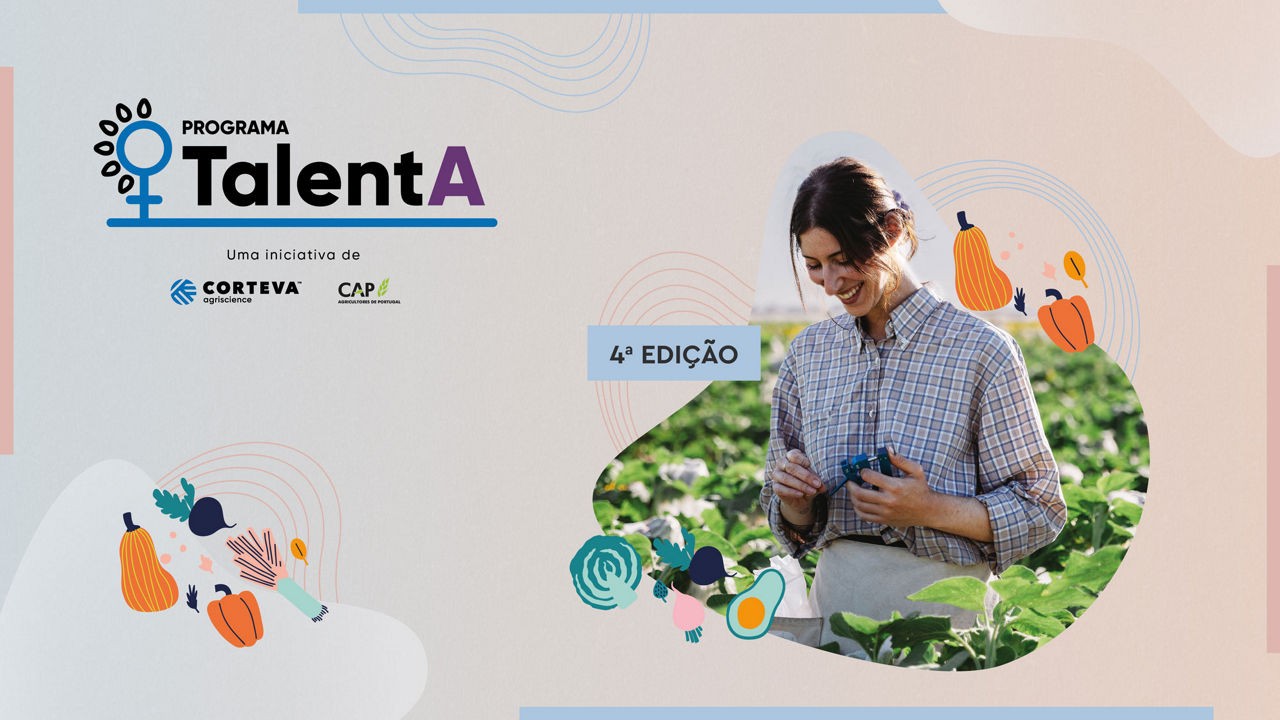 4ª edição do Programa TalentA