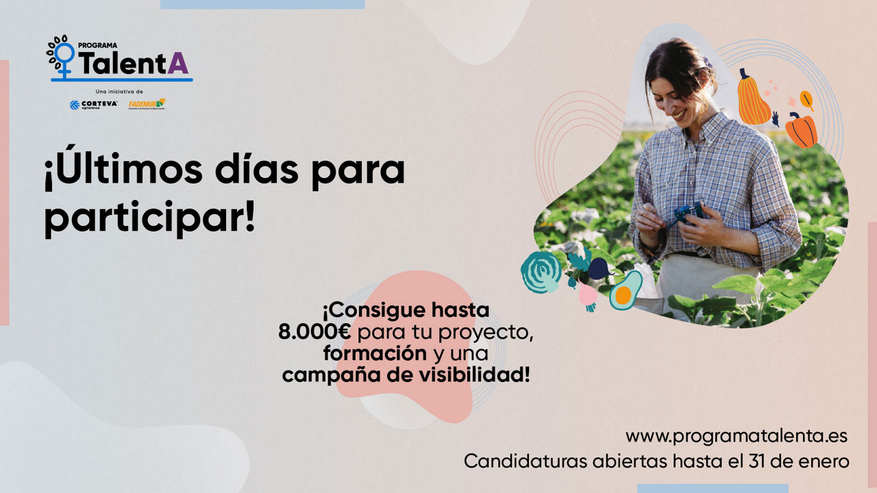 Programa TalentA Últimos días