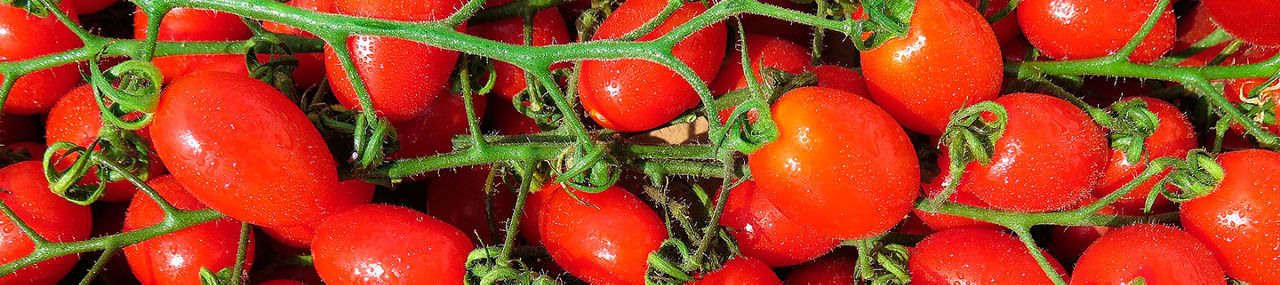 Tomate