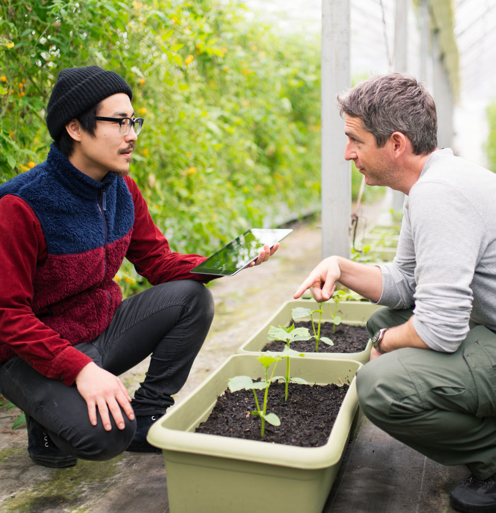 Deux hommes analysant des plantes