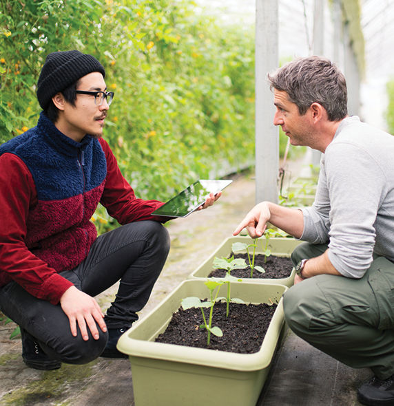 Two  men  analyzing plants in tubs