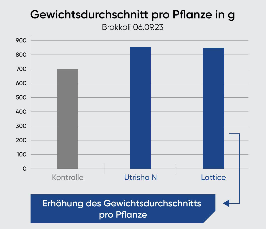 Lattice_Wpp_Comms