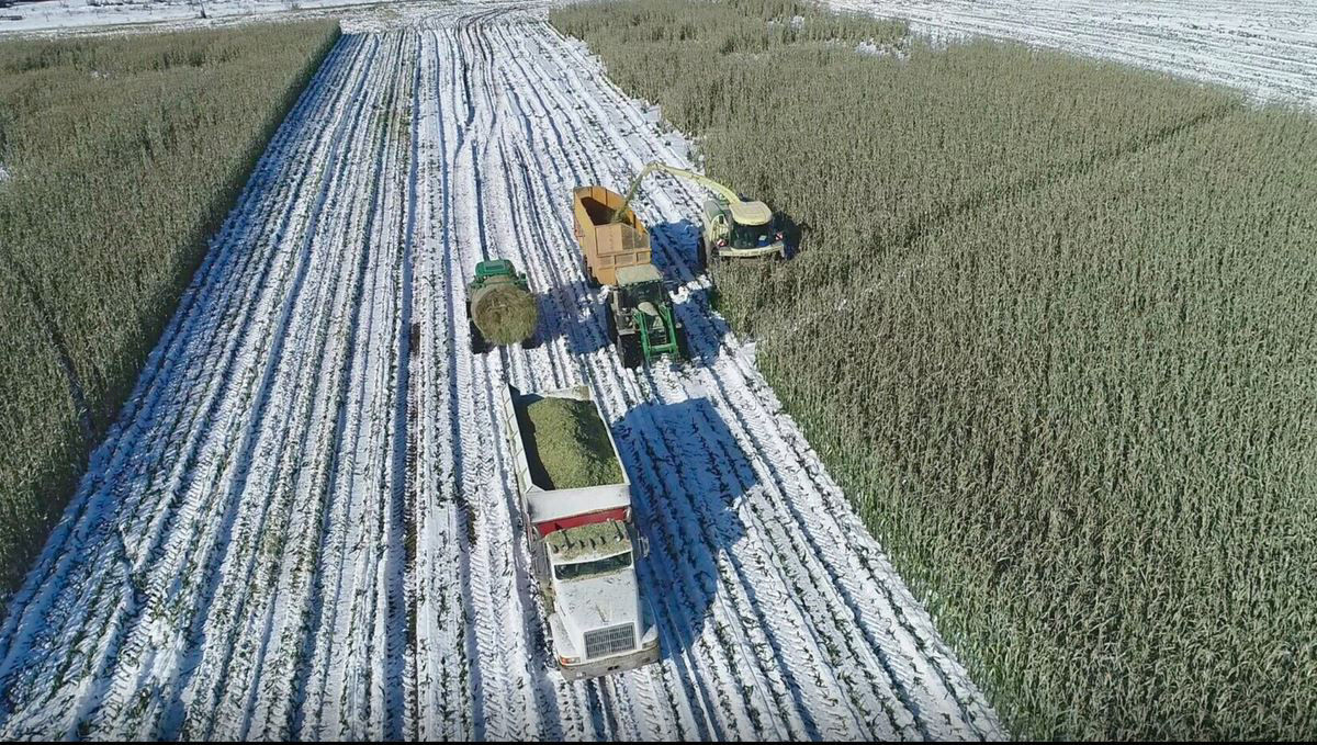 Yield Hero