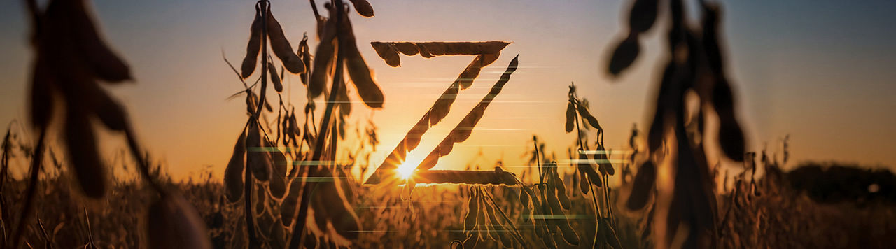 Pioneer® brand Z Series Soybeans