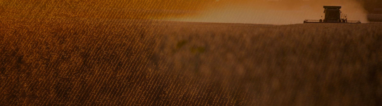 Photo - Hero banner for BestIsYet winners - harvest shot.